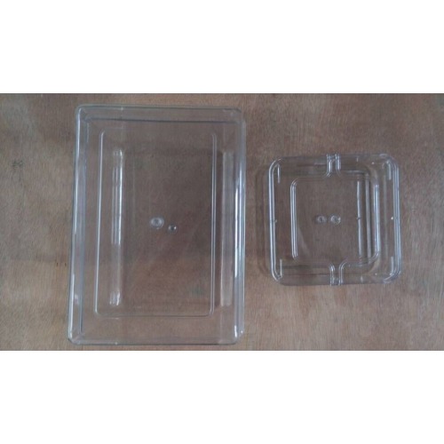 Injection molded box Seed sprouting box