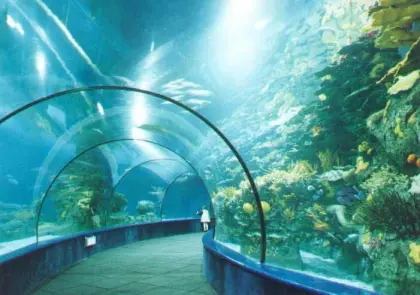 Seaworld Tunnel