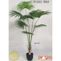 64"Wall Palm x 8 tree