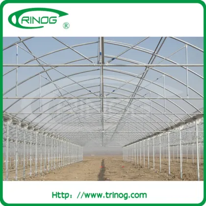 Long stand PE film green house with film cover