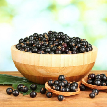 100% Pure Blackcurrant Seed Oil