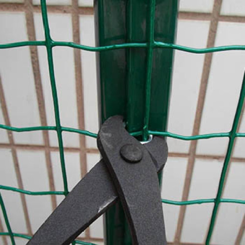 Gegalvaniseerde PVC gecoate Euro Fence van Factory Outlet