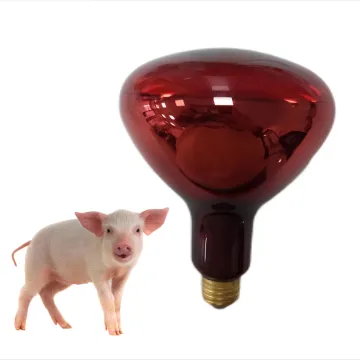 R125 Red IR Heat Lamp - 100W/150W/250W Sauna & Food Warmer Light