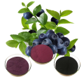 European Bilberry Extract 25% or 36% Anthocyanidins