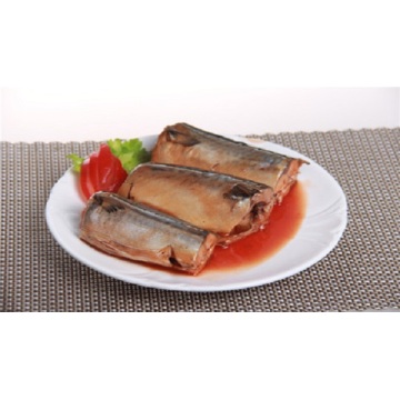 Mackerel Can In Tomato Sauce With Haccp Halal