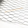 Weaving Hexagonal Wire Netting For Plant Breed