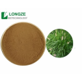 Longze Direct Provide Horsetail Extract Equisetum arvense