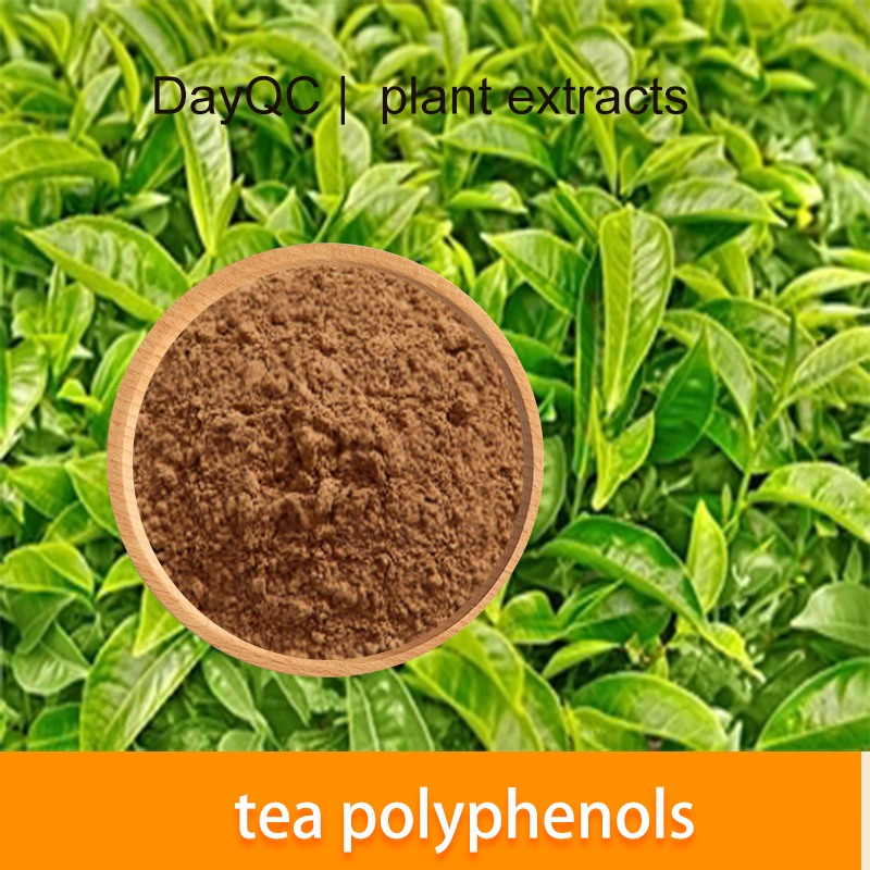 Extracto de té verde polifenoles de té verde