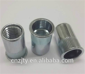 Competitive Price Hexagon Rivet Nut