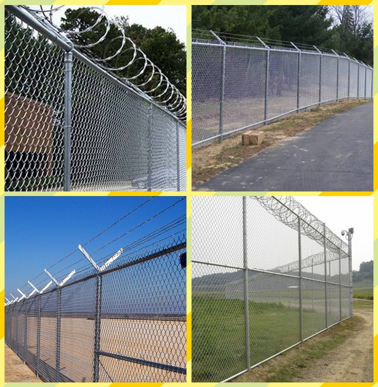 Metal chain link fence