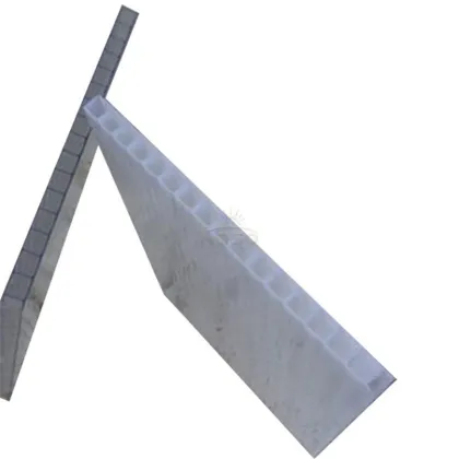 Plastic Panel Celluloid Hollow Polycarbonate Sheet