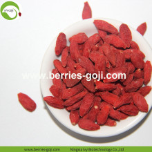 Factory Supply Variety Pack Fruit Products Goji Berry