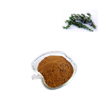 rosemary extract carnosic acid powder