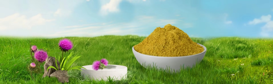 what is milk thistle extract good for