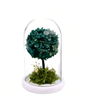 Green Preserved Tree Glass Dome