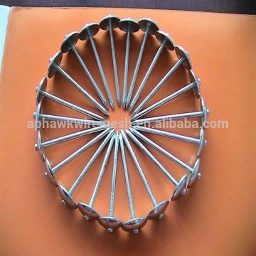 Umbrella Head Smooth Roof Nail