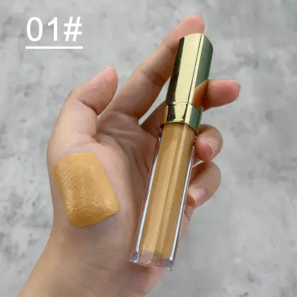 OEM Waterproof Long-Lasting Concealer: Lightweight, Full Coverage Moisturizer for Cosmetics