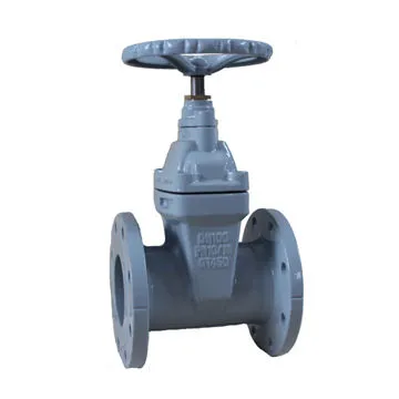 Casting iron seated gate valves