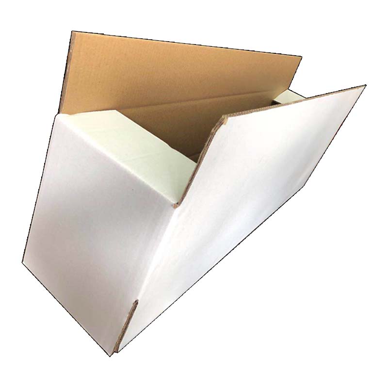 Beautiful White Carton