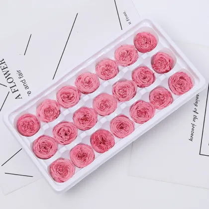 Yuntu Wholesale: Custom Preserved Flowers & Austin Rose Buds