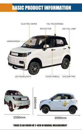 2023 MINI EV CAR Hot Sale: New Style ORA Electric Car 2024