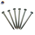 Common Round Iron Inch Nail