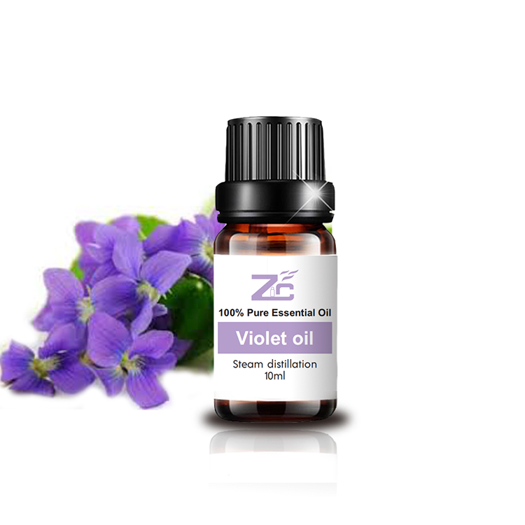 Organic Violet Essential Oil for Body,Skin