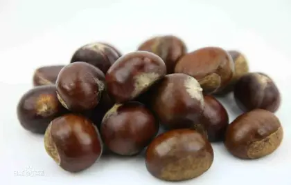 High Quality New Chestnut