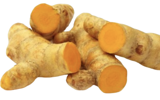 Turmeric Extract Manufacturer
