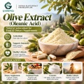Extrato de azeitona com 20%–98% de ácido oleanólico para formulações cosméticas e nutricionais