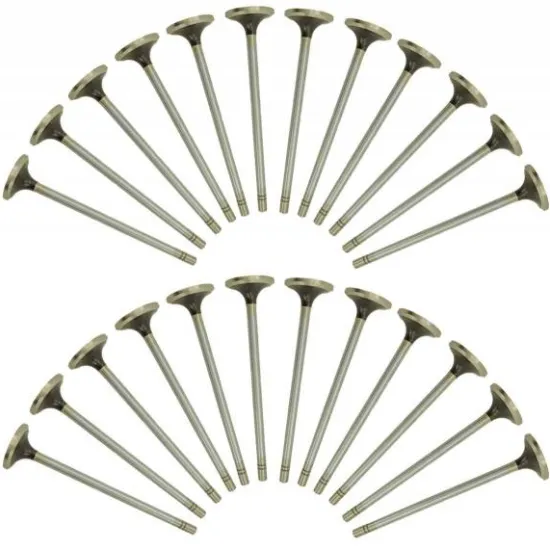 Caterpillar Engine Parts: OE 1W8606 2W3211 1W1822 D353 D379 D398 D399 Valves