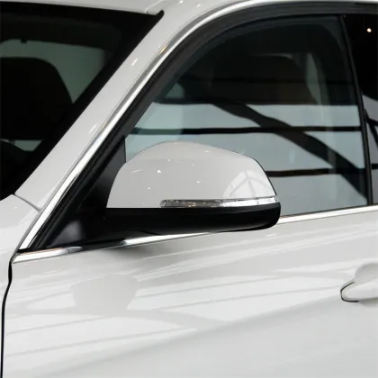 13-19 BMW 3 Series Reversing Mirror Assembly