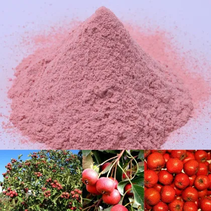 Freeze dried fruit powder,Freeze dried hawthorn berry powder