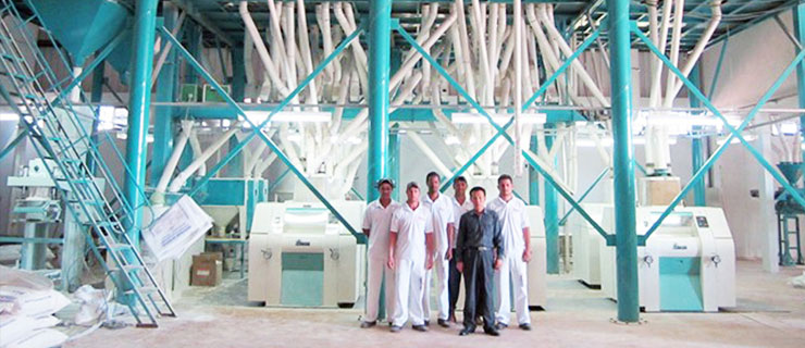 Ethiopia 500T wheat flour mill machine for Pasta Bread Flour