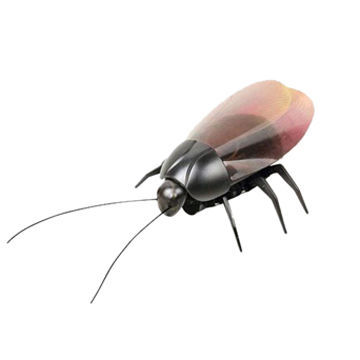 New Design Electric Beetle