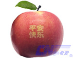 laser marking for fruit laser marking for fruit