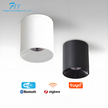 DALI Driver Tunable White Downlight 230V Smart Bluetooth LED Surface Mounted Downlight