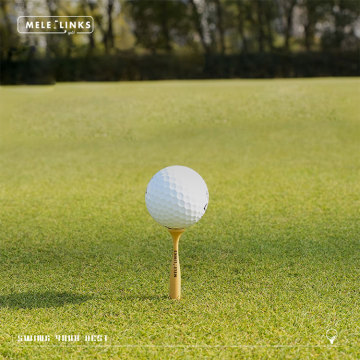 Niezniszczalne plastikowe koszulki golfowe z niestandardowym logo i stabilnym opakowaniem