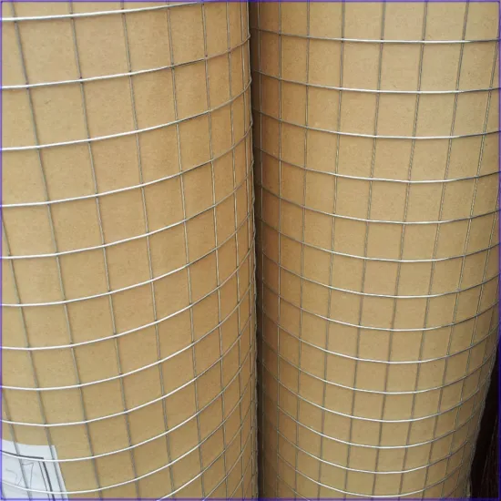 high tension steel low carbon steel 1x1 inch welded wire mesh rolls