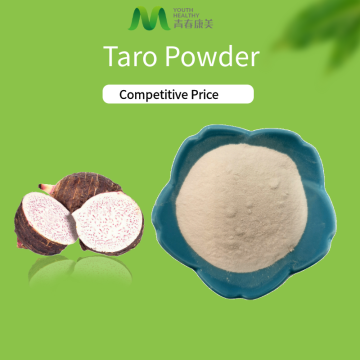 Polvo de raíz de taro más vendido con precio competitivo