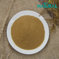 Improving Immunity Astragaloside IV Beta-D-Glucopyranoside Powder Manufactory