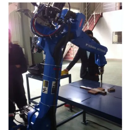 Yaskawa GP180 Palletizer with CNGBS Customized Gripper for Robotic Palletizing