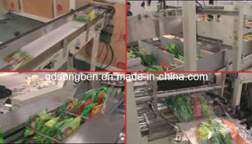 Five Bags Instant Noodle Bundle&Pack Machine