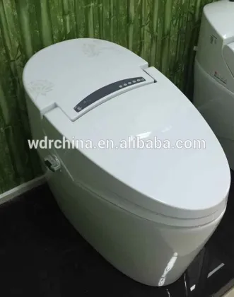 Warm water washing Automatic Operation Sanitary Ware Smart Toilet