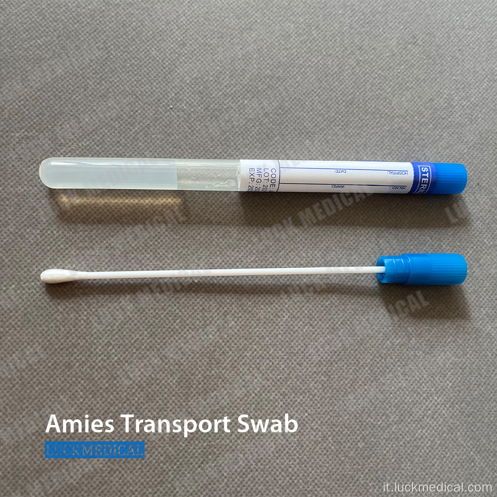 Amies Transport Swab con o senza carbone CE