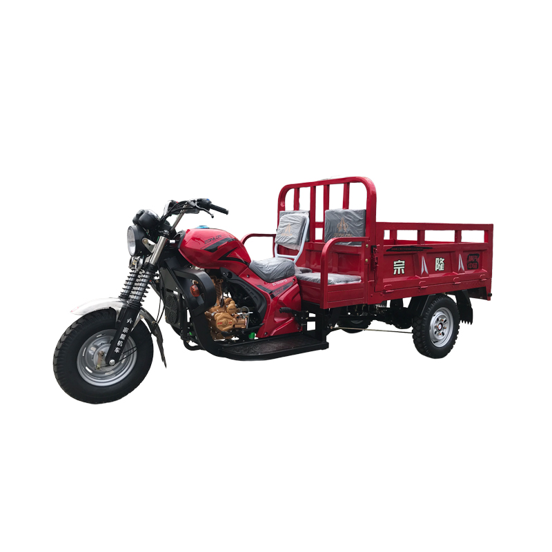 1Small dual seat fuel motor tricycle