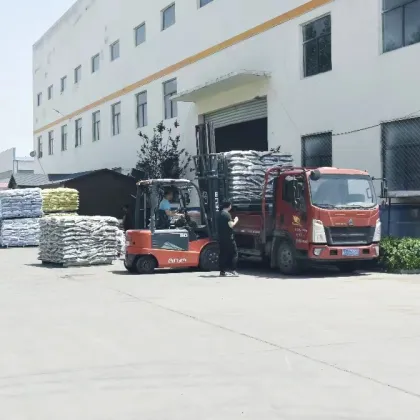 Best Clean Cat Litter: Strong Clumping & Premium Adsorption