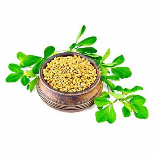 Natural Fenugreek Seed Extract Fenugreek Saponins