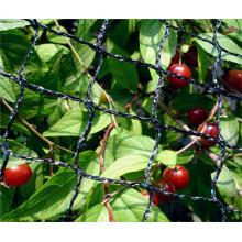 Giardino netto di uccelli senza nodo agricolo