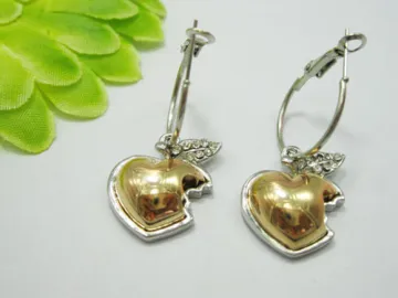 ROHS Standard Earrings